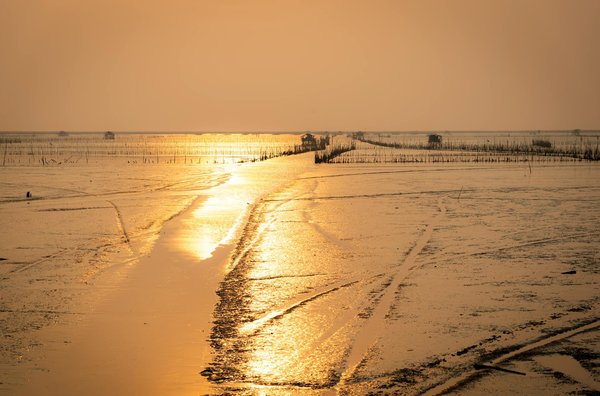 Voyage au Botswana : à la découverte de ses merveilles naturelles