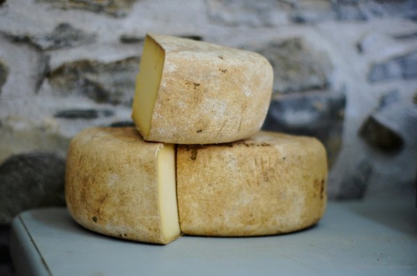 Comment découvrir les traditions de la fabrication de fromage en Suisse ?